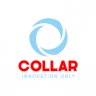 Designer_collar
