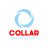 Designer_collar
