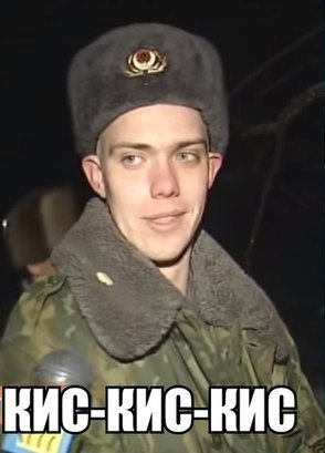 4110948.jpg