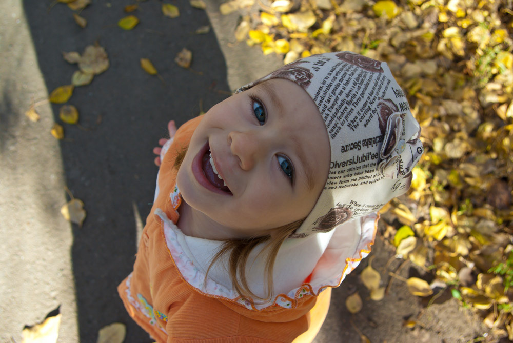4824684_large.jpg