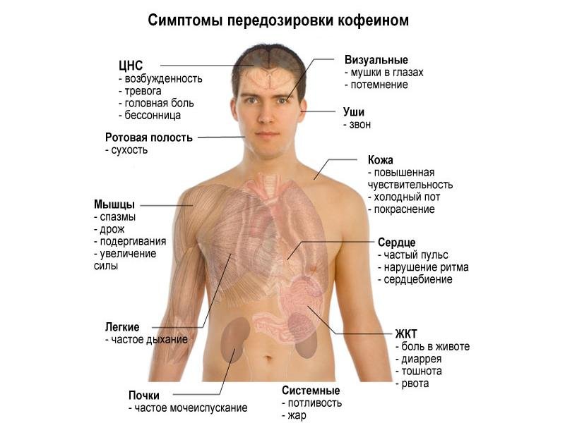 1397075369_2.jpg